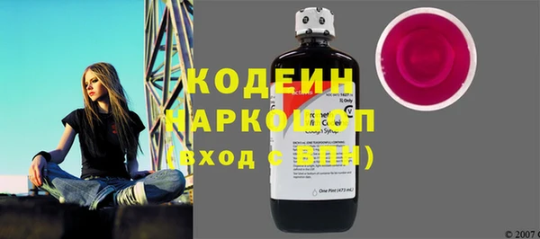 ПСИЛОЦИБИНОВЫЕ ГРИБЫ Вяземский