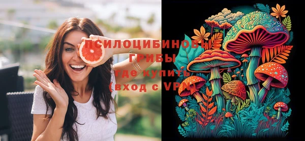 ПСИЛОЦИБИНОВЫЕ ГРИБЫ Вяземский