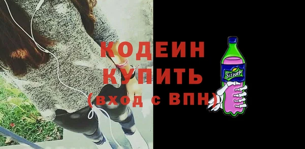 ПСИЛОЦИБИНОВЫЕ ГРИБЫ Вяземский