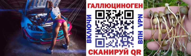 Псилоцибиновые грибы Magic Shrooms Отрадная